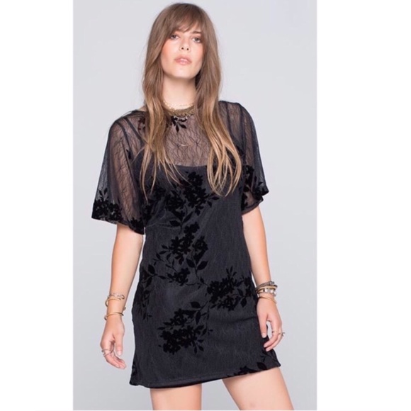 Brand of Gypsies Dresses & Skirts - Brand of Gypsies Cora Flocked Lace Shift Dress
